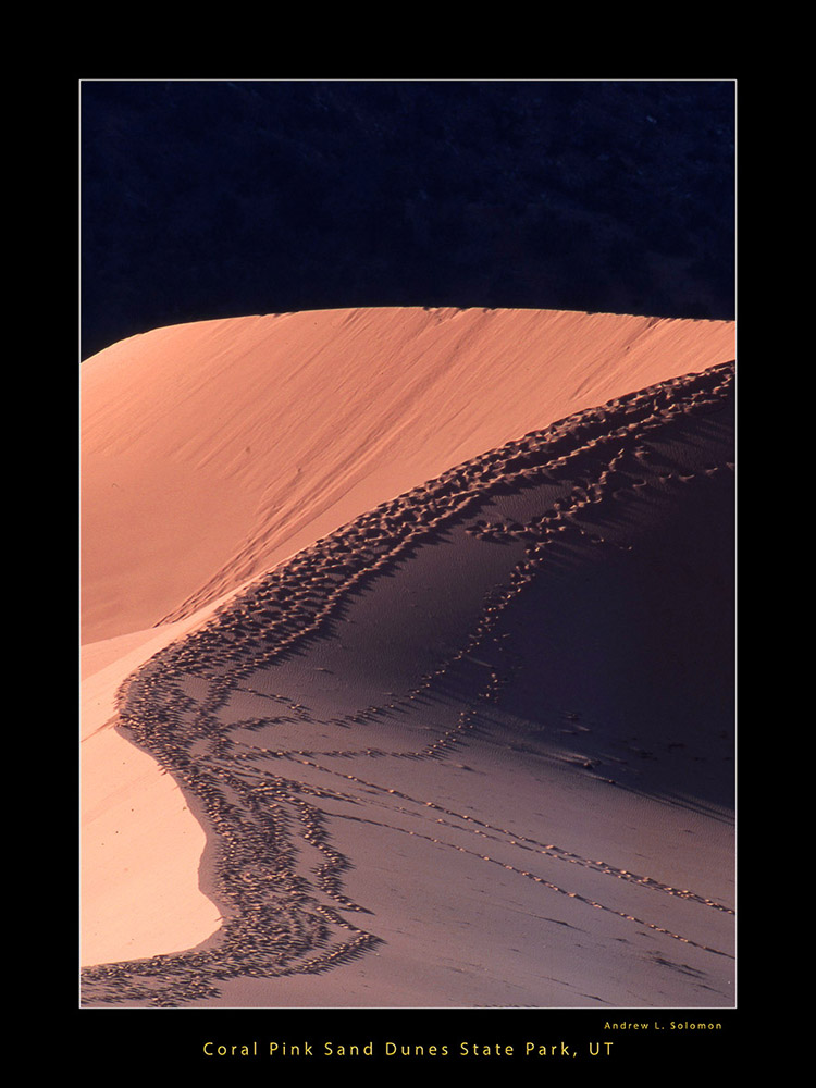 Coral Pink Sand Dunes NP, UT