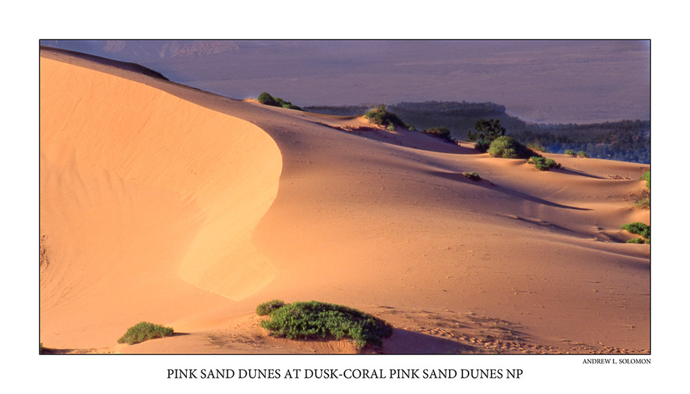 DUNES AT DUSK