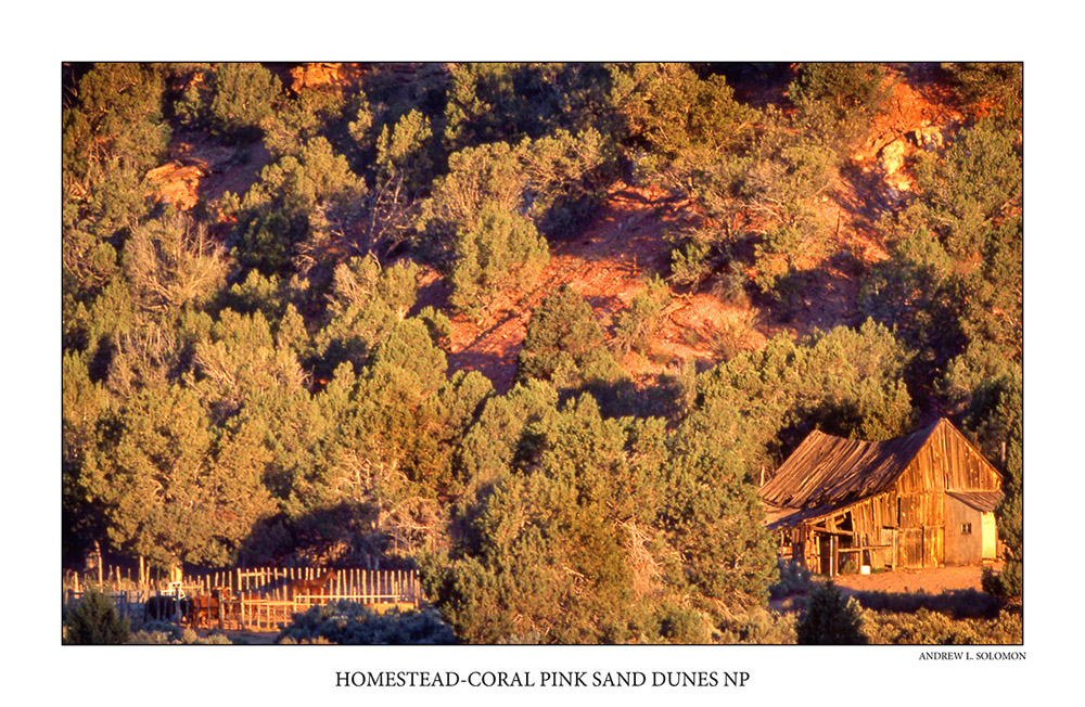 HOMESTEAD-CORAL PINK SAND DUNES