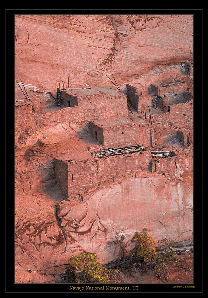 NAVAJO MONUMENT-UTAH 303