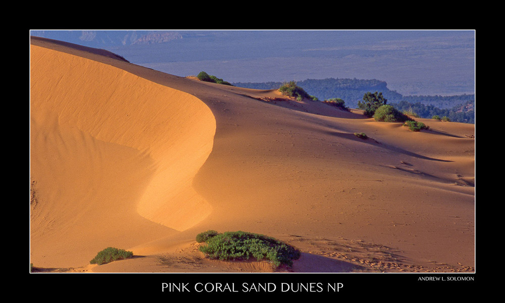 PINK CORAL SAND DUNES SP
