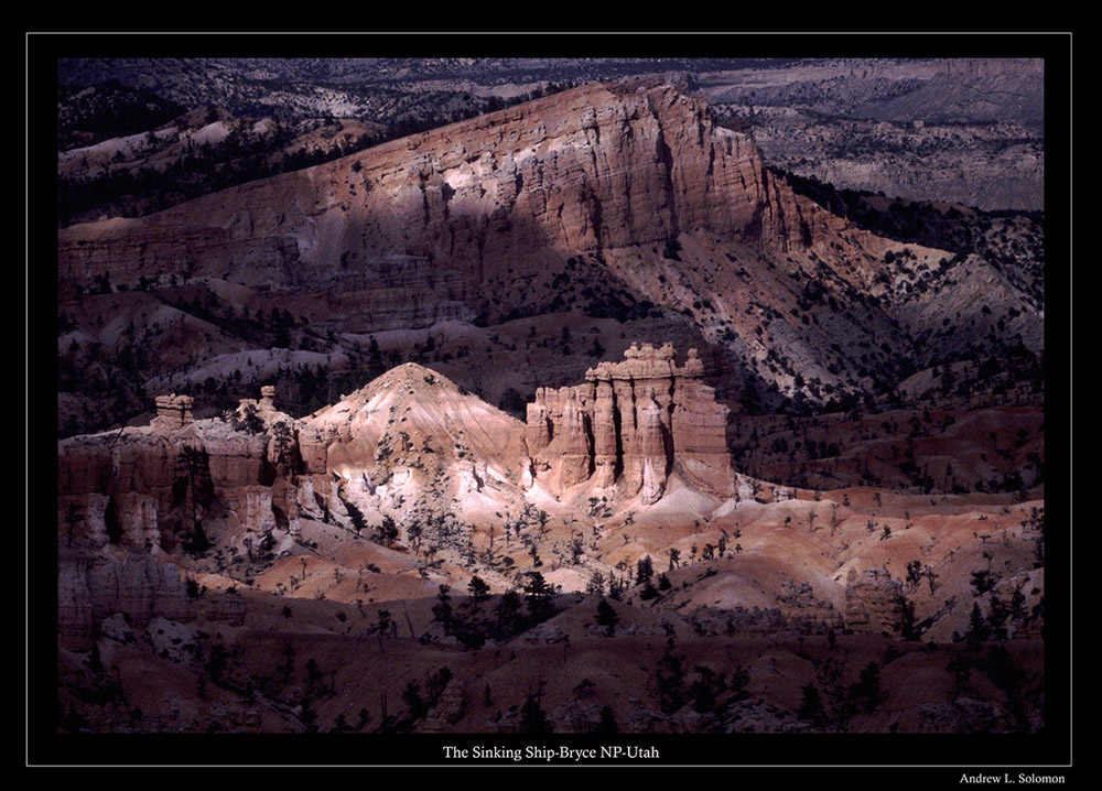 SINKING SHIP GALLERY